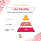 BQ. TIPO MENTA COM HORTELÃ - 60 ML