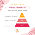 BQ. TIPO SHAUDER -  60 ML