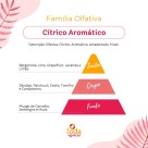 BQ. TIPO ALLURE CHANEL FOR MEN 60 ML