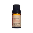 OLEO ESSENCIAL ANIS ESTRELADO -10ml