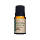OLEO ESSENCIAL EUCALIPTUS GLOBULUS-10ml