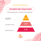 BQ. TIPO MADEIRA ELEGANCE  EXCLUSIVO TODA ESSENCIA - 500 ML