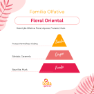 BQ. TIPO VELVET PATALS V.S. - 60ML